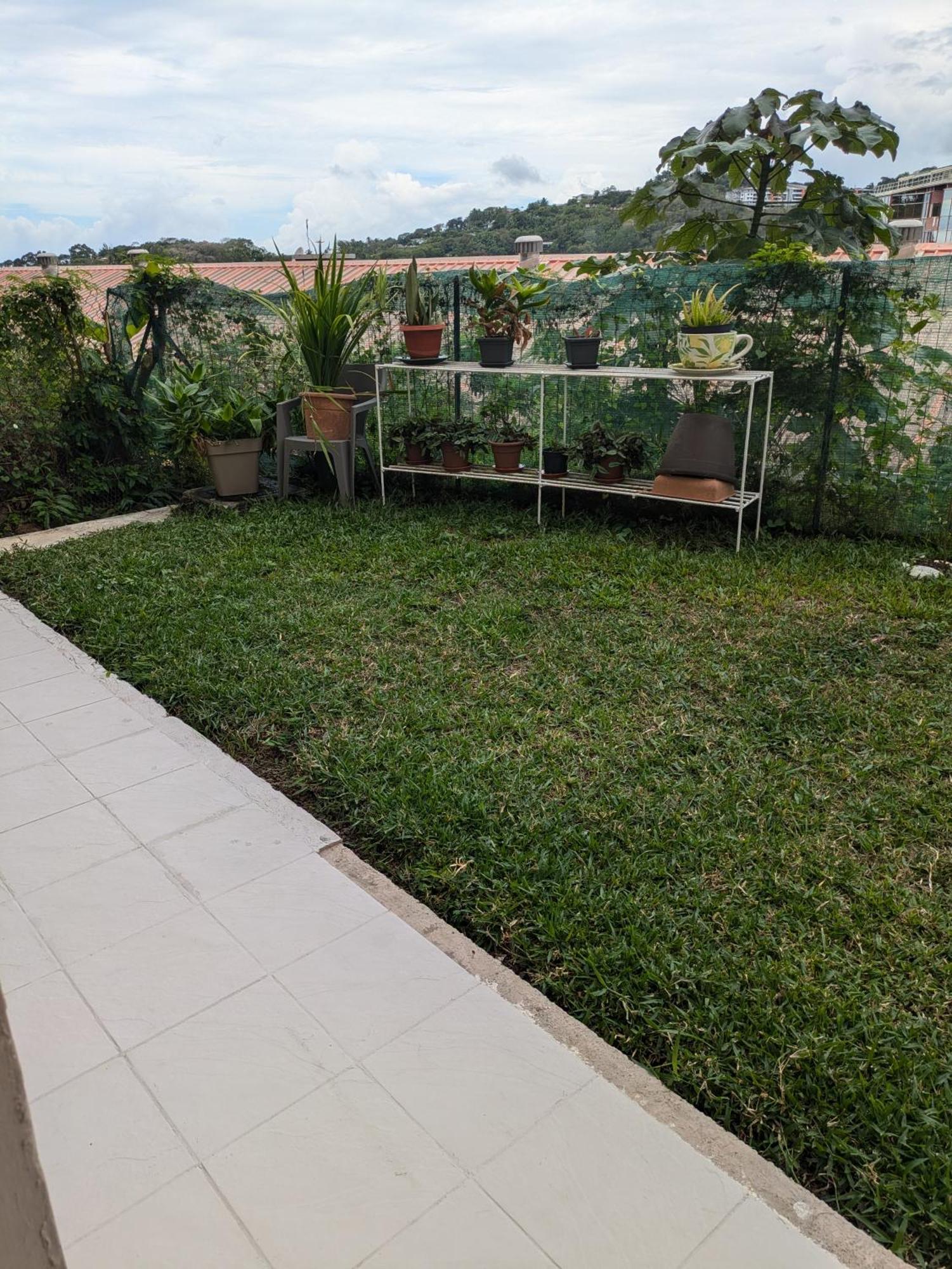 N'Jok Papeete Apartment ปาเปเอเต ภายนอก รูปภาพ